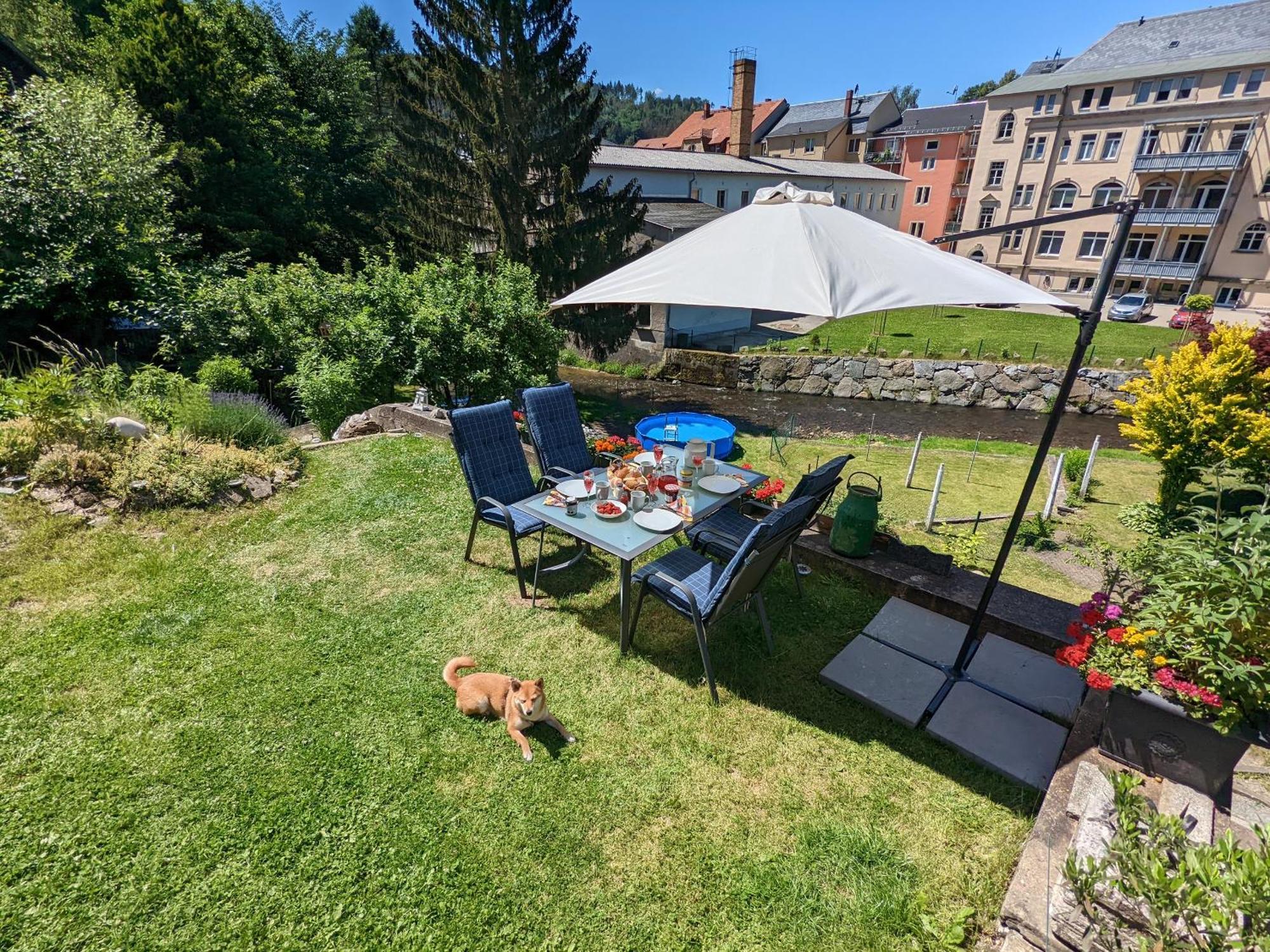 Hw4B - Urlaubsmagie - Zentral Mit Gemeinschaftsgarten, -Pool, -Sauna & Whirlpool Sebnitz Exterior foto