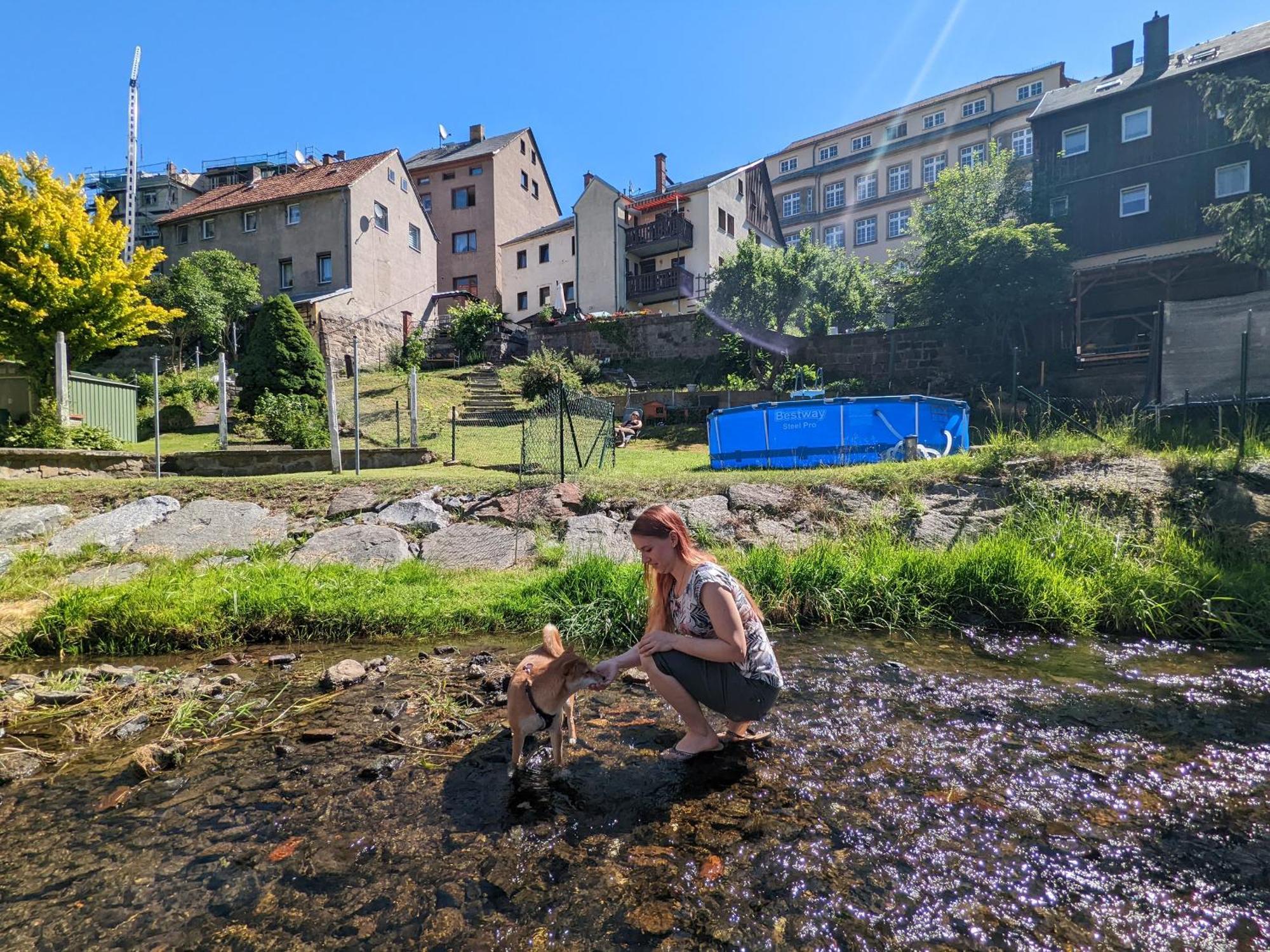 Hw4B - Urlaubsmagie - Zentral Mit Gemeinschaftsgarten, -Pool, -Sauna & Whirlpool Sebnitz Exterior foto