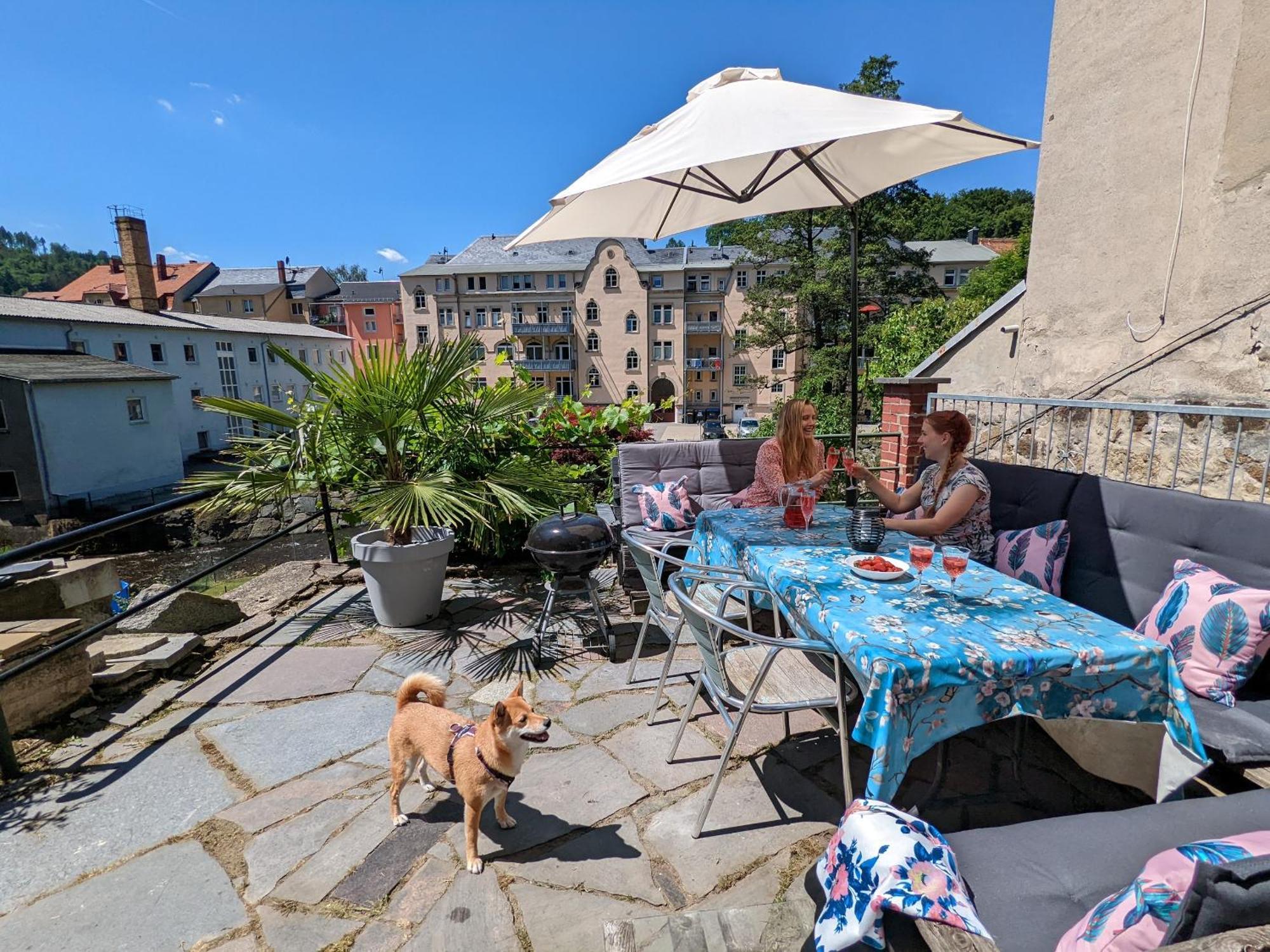 Hw4B - Urlaubsmagie - Zentral Mit Gemeinschaftsgarten, -Pool, -Sauna & Whirlpool Sebnitz Exterior foto